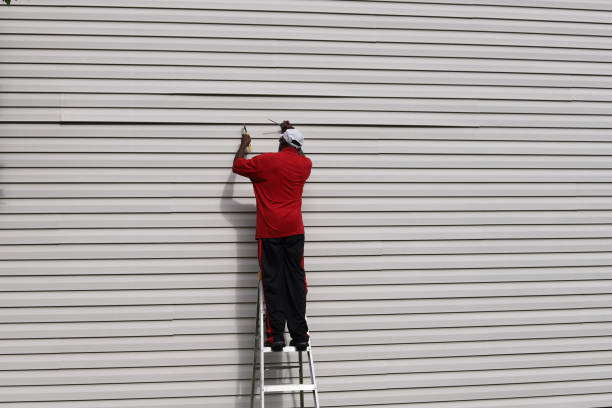 Best Engineered Wood Siding  in Independence, MN