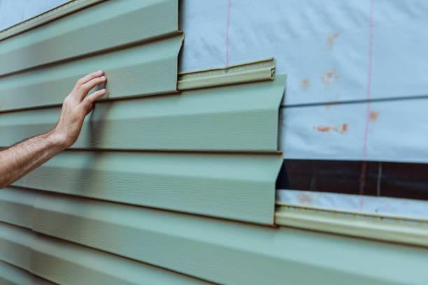 Best Stucco Siding  in Independence, MN